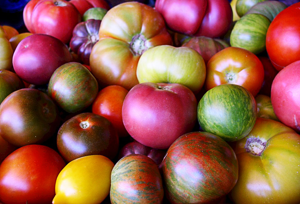 Why Financial Planning Is Like Growing Tomatoes