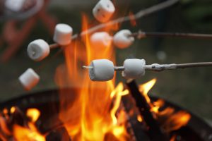 Toasting Marshmallows (And Other Financial Secrets)
