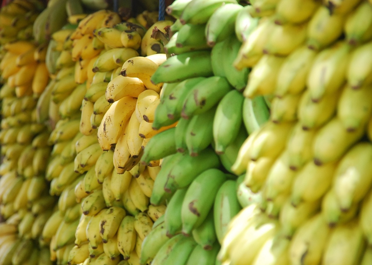 Why You Need To Buy Green Bananas